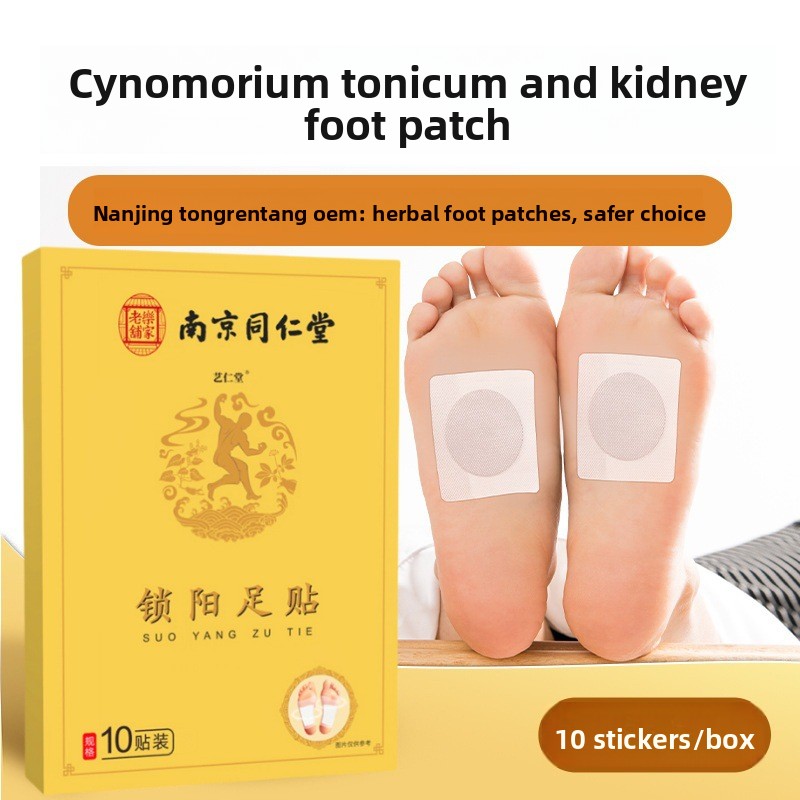 Herbal Wellness Healthcare - Patch de soin des reins Nanjing