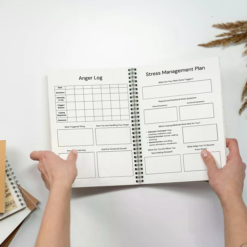 Journal de santé mentale, Plan - Health Wellness avis et prix